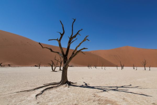 Deserts of Namibia | The Constant Revolution