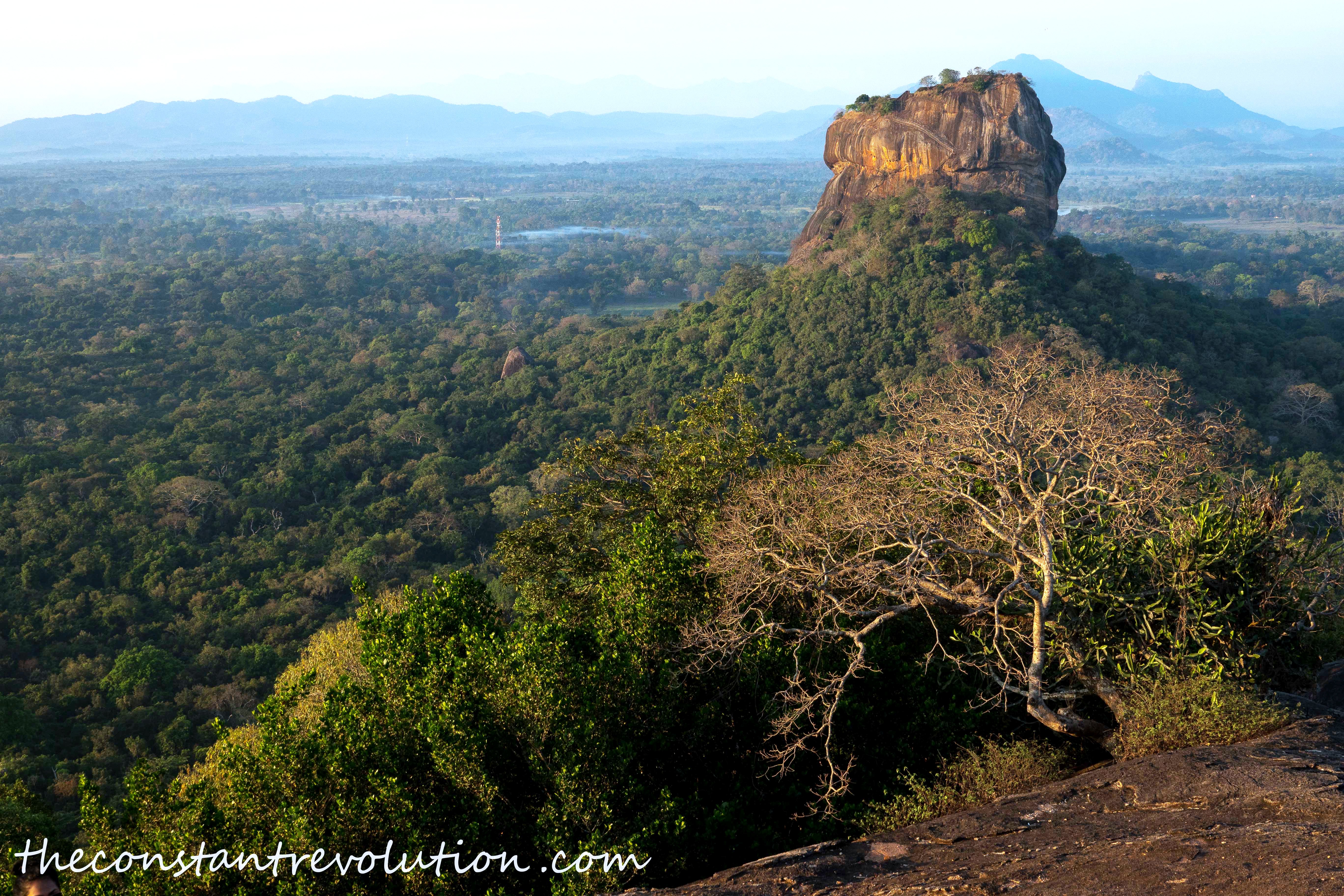 Lion’s Rock2